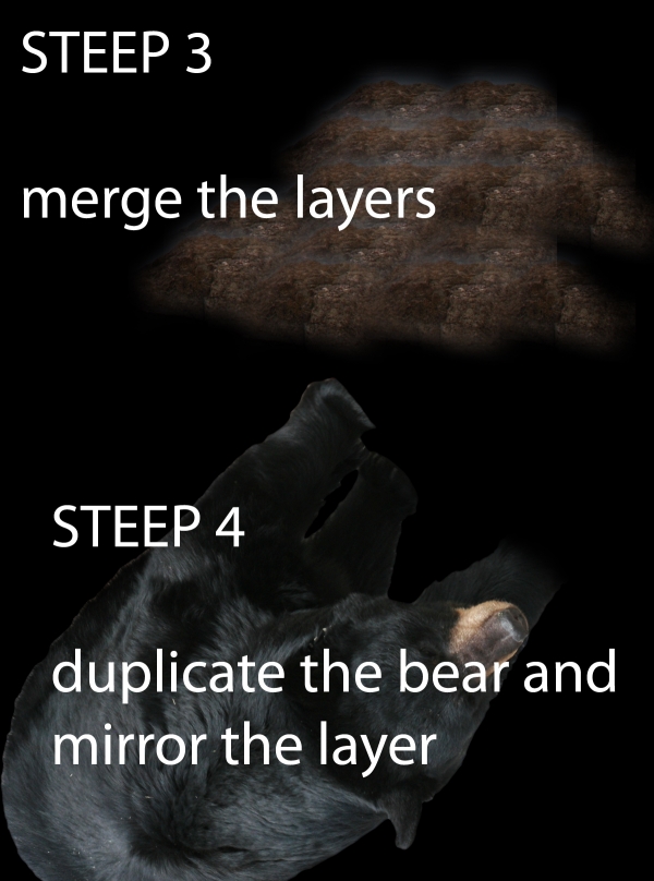 Creation of THE BEAR: Step 2